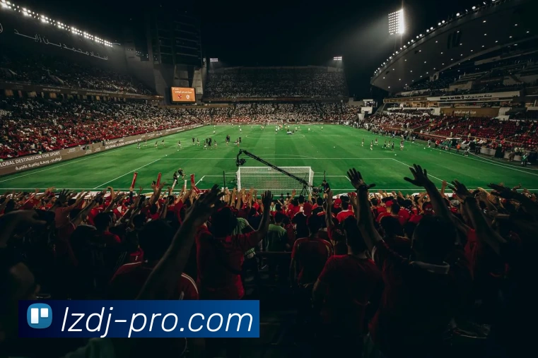 龙珠电竞官网平台生态图